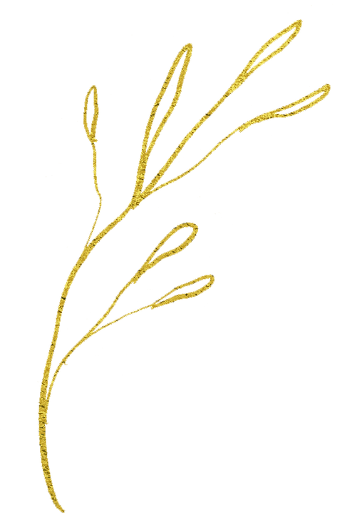 Plant Stalk Illustration Cutout